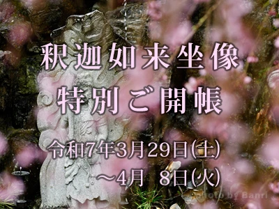 秘仏釈迦如来坐像 特別ご開帳2025年3月29日(土)～4月8日(火)