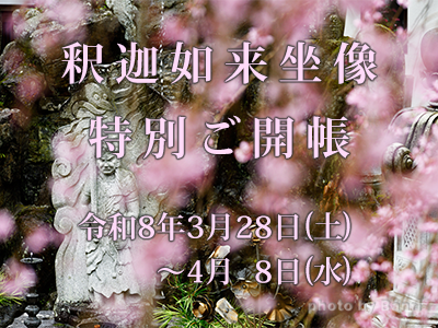 釈迦如来像 特別ご開帳2026年3月28日(土)~4月8日(水)